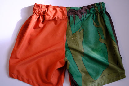 Creature Feature: The Choke from the Black Lagoon Fight Shorts